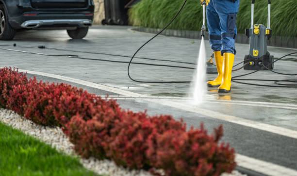 Best Dumpster Area Cleaning  in Odem, TX